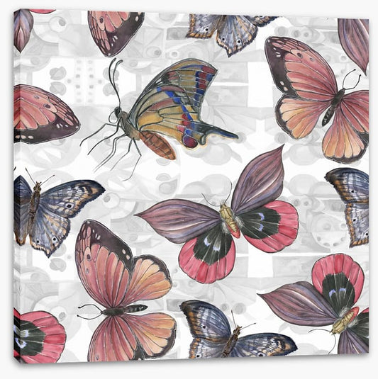 Butterflies
