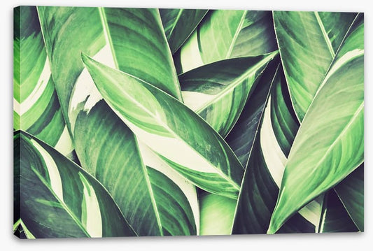 Retro leaves