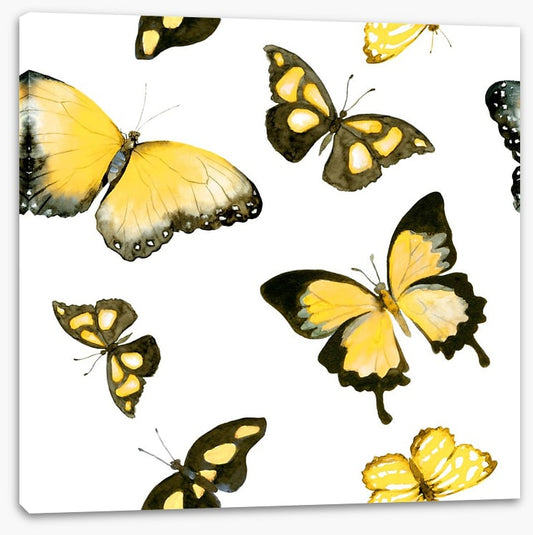 Butterflies