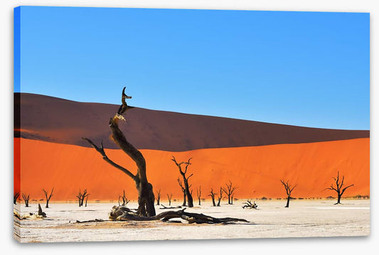 Africa