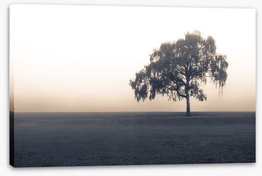 Free of the fog