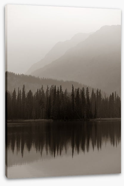 Misty mood
