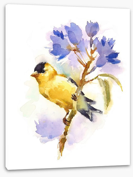 Little goldfinch