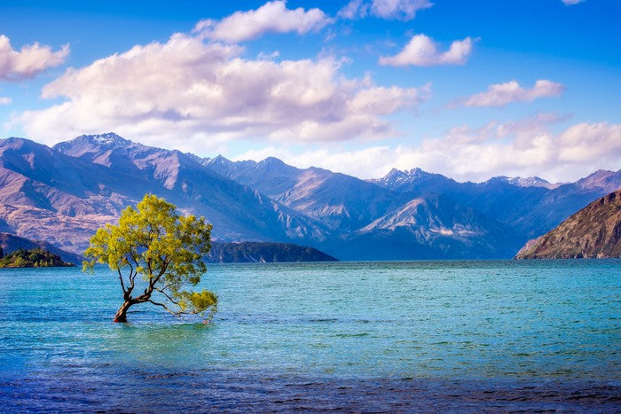 In the blue water