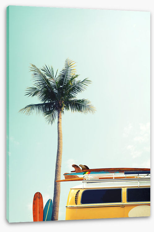 Surfers palm
