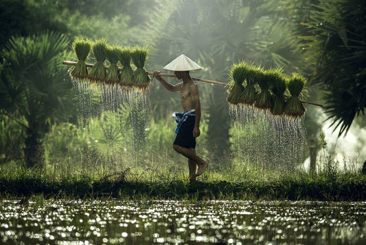 Asia