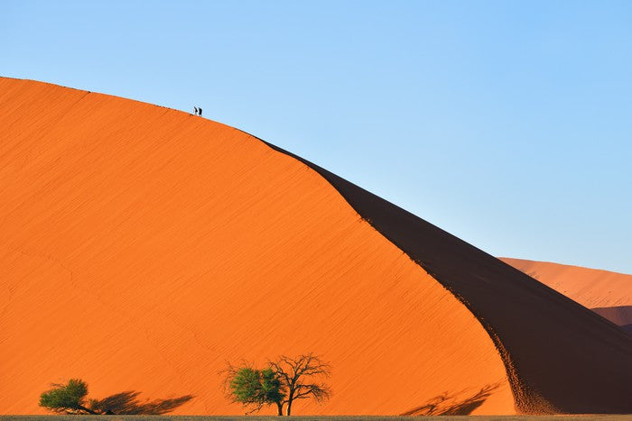 On top of the dune
