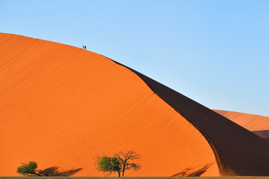 On top of the dune