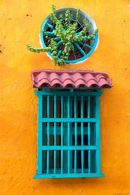 South America