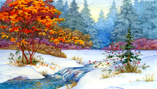 Maple stream snow