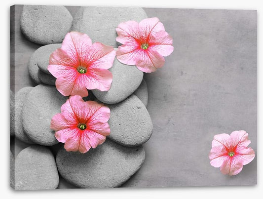 Petunia pebbles