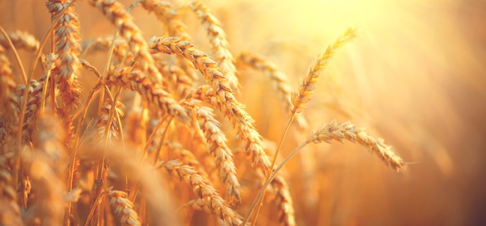 Agriculture