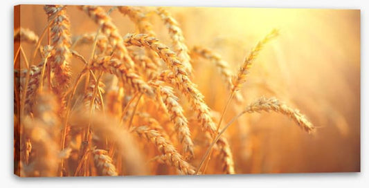 Agriculture