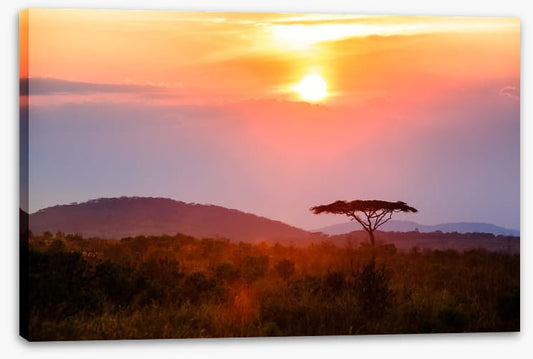 Malawi moment