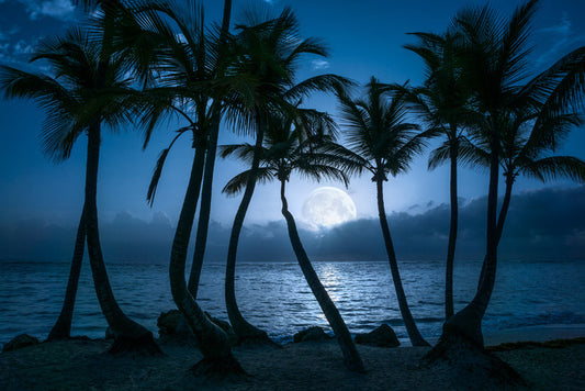 Full moon palms