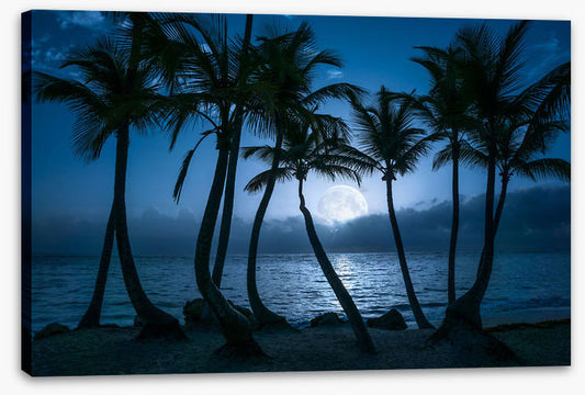 Full moon palms