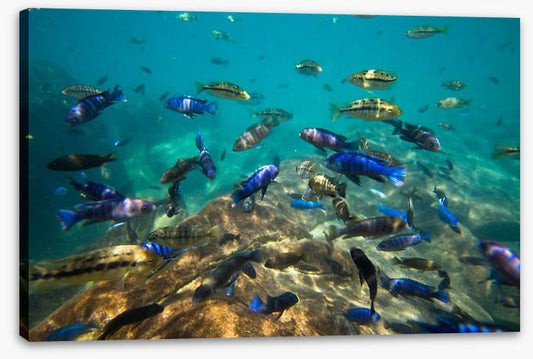 Underwater