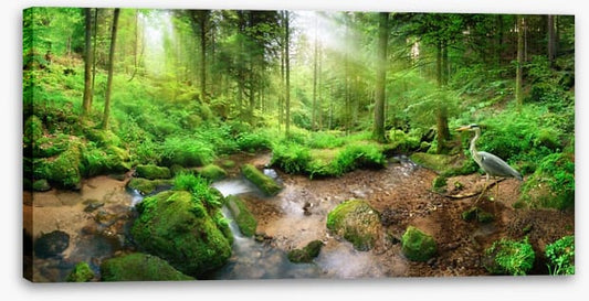 Heron in the forest