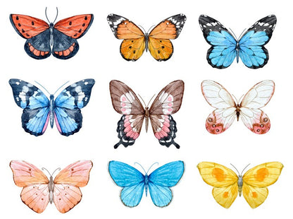Butterflies