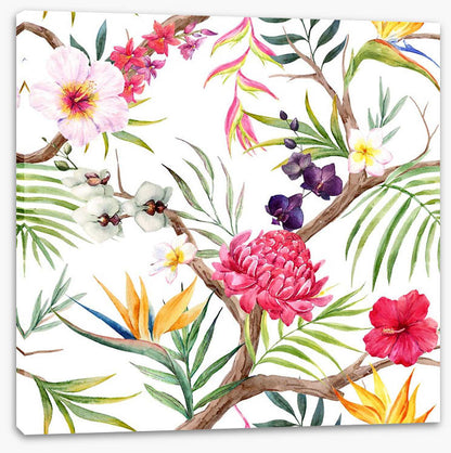 Botanical beauty