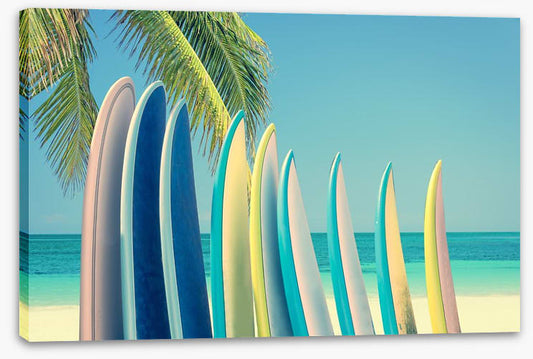 Vintage surfboards