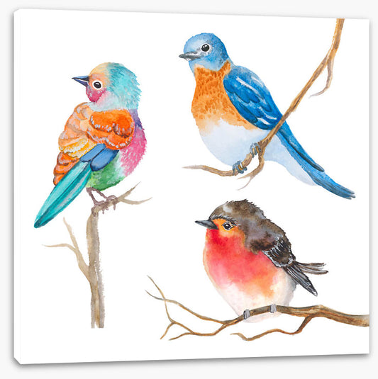 Three in the tree