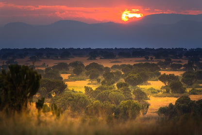 Africa