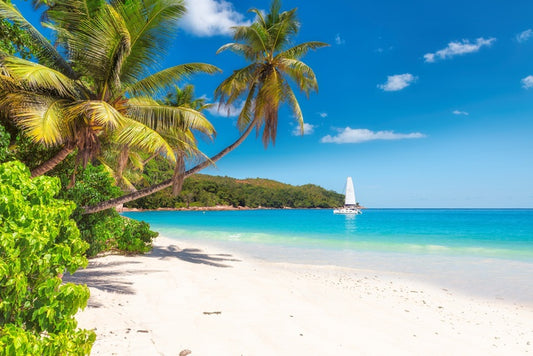Catamaran cove
