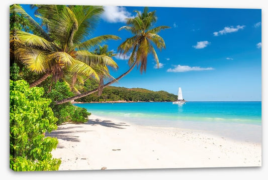 Catamaran cove