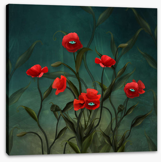 Peeping poppies