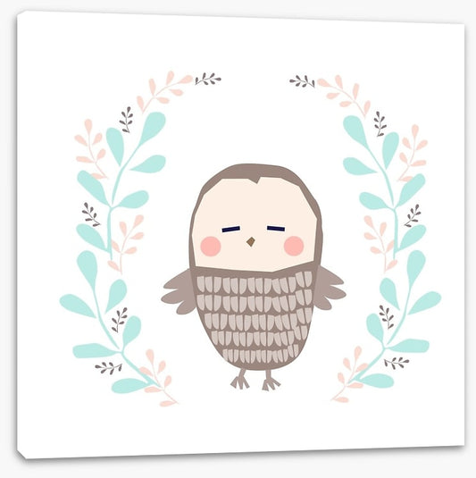 Owls