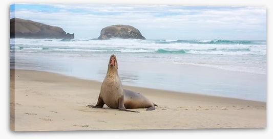 New Zealand
