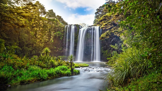 Whangarei falls