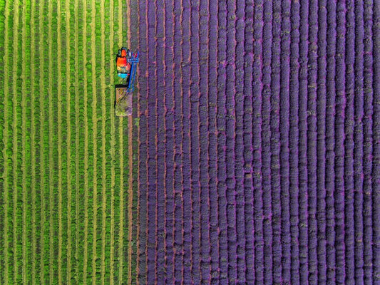 Agriculture