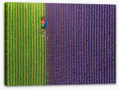 Agriculture
