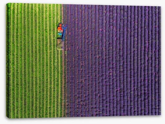 Agriculture
