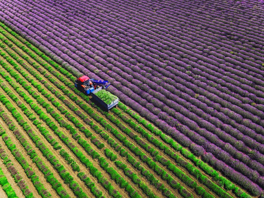 Agriculture