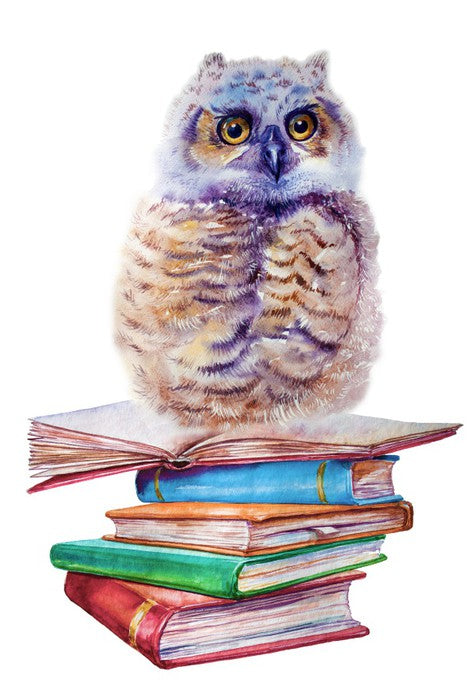 Book owl balance