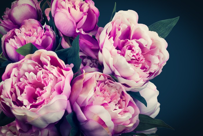 Peony flowers