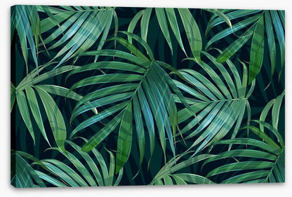 Fronds of fancy
