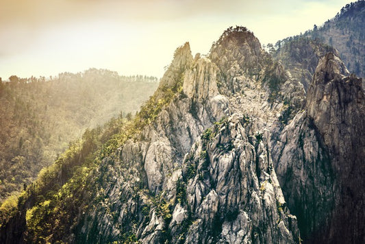 Mountains