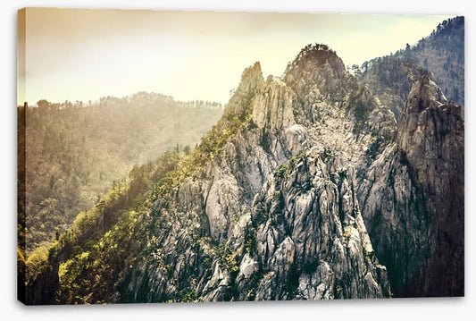 Mountains