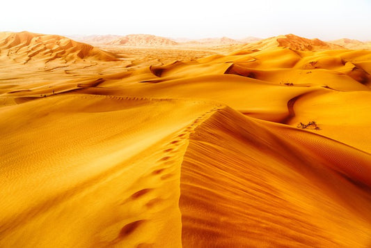 Desert