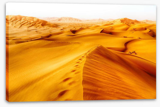 Desert