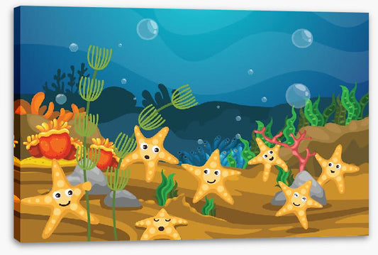 Starfish seven