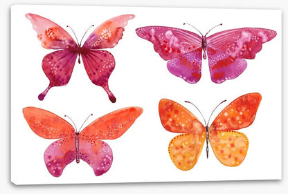 Butterflies