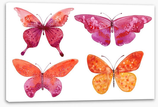 Butterflies