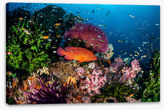 Underwater