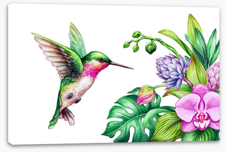 Pink orchid hummingbird