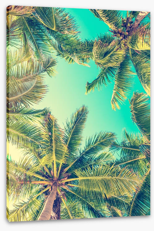 Under a summer sky